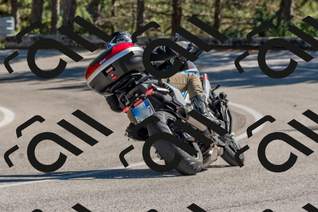 202510041309-DSC_6737_c4_