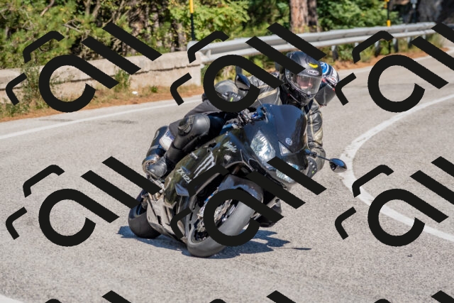 202510041309-DSC_6738_c4_