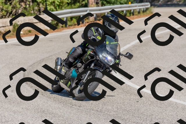 202510041309-DSC_6743_c4_