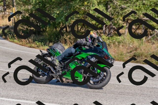 202510041309-DSC_6748_c4_