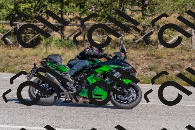 202510041309-DSC_6749_c4_