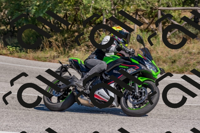 202510041309-DSC_6750_c4_