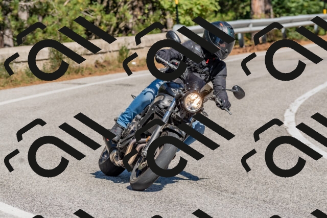 202510041314-DSC_6757_c4_