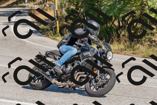 202510041314-DSC_6758_c4_