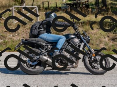 202510041314-DSC_6759_c4_