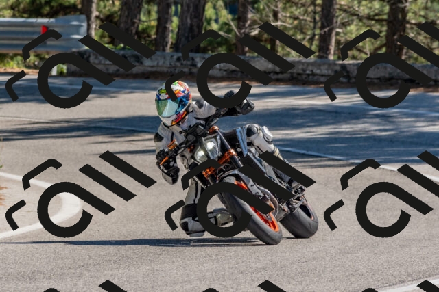 202510041317-DSC_6765_c4_