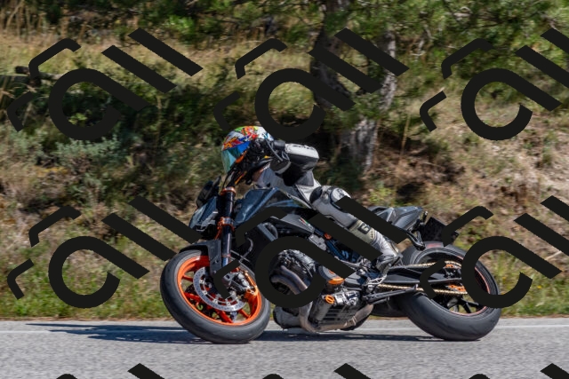 202510041317-DSC_6767_c4_