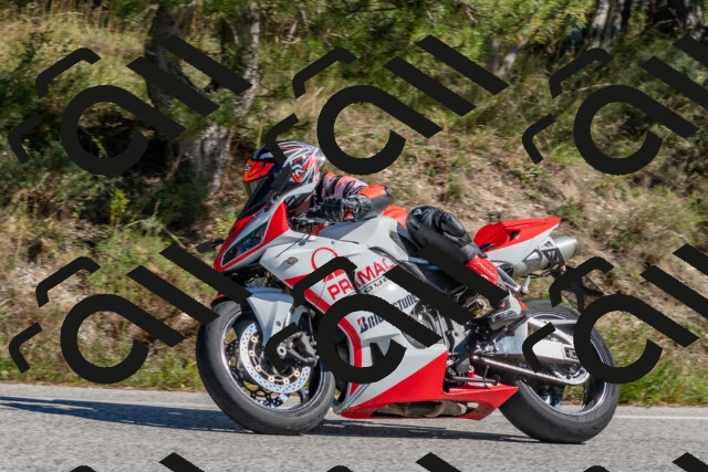 202510041317-DSC_6774_c4_