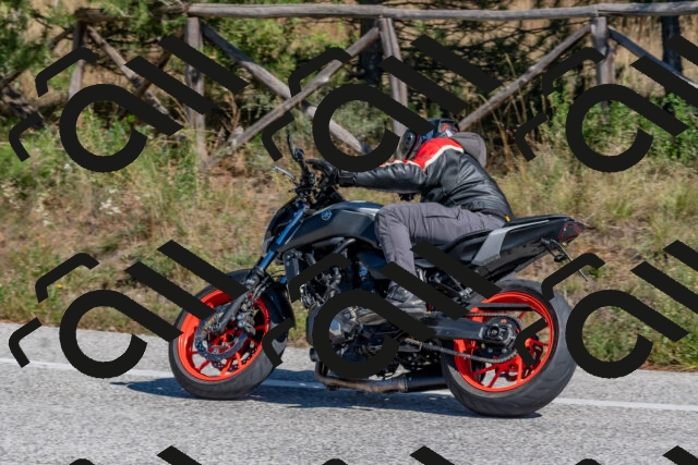 202510041317-DSC_6781_c4_