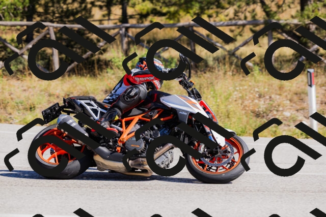 202510111306-_04A2178_c3