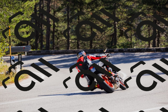 202510111306-_04A2181_c3