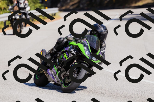 202510111307-_04A2184_c3