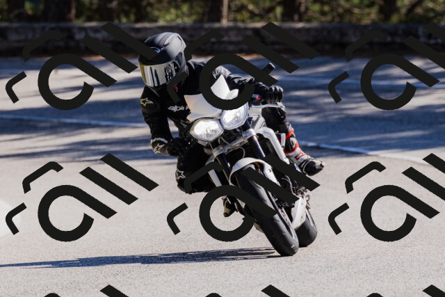 202510111308-_04A2196_c3