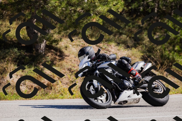 202510111308-_04A2199_c3