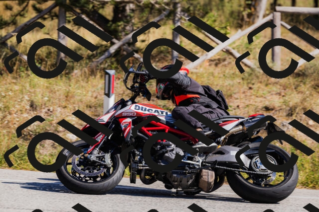 202510111308-_04A2205_c3