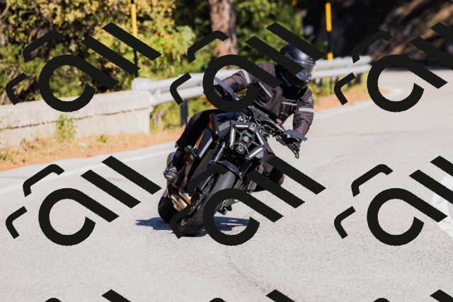 202510111309-_04A2217_c3