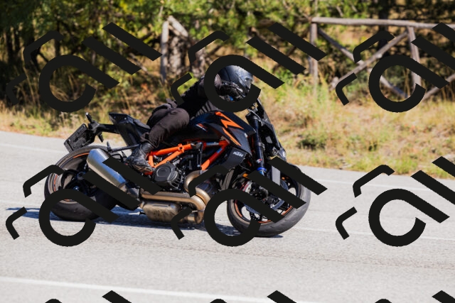 202510111309-_04A2219_c3