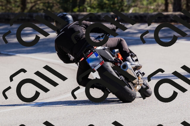 202510111309-_04A2223_c3