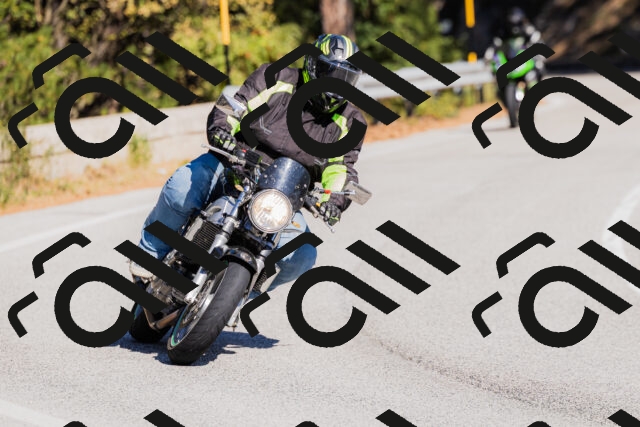 202510111310-_04A2226_c3