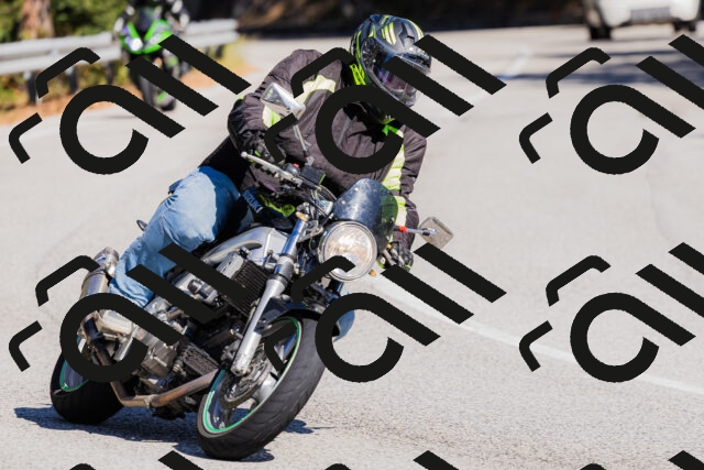 202510111310-_04A2227_c3