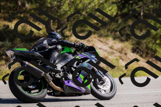 202510111310-_04A2233_c3