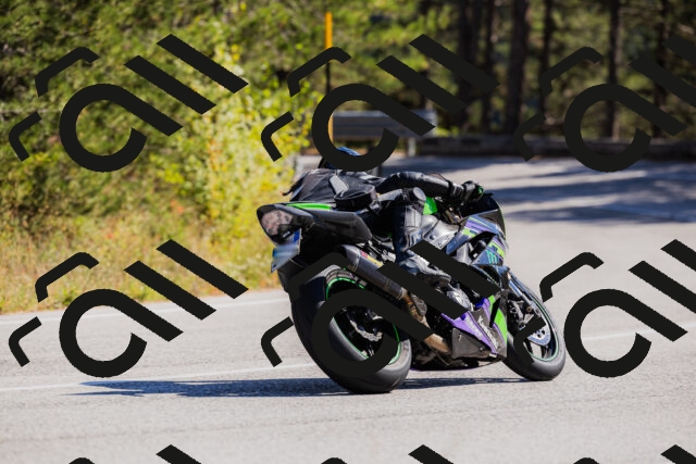 202510111310-_04A2234_c3