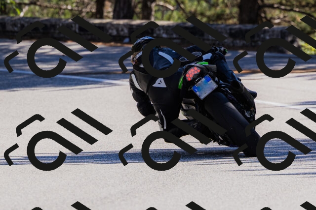 202510111310-_04A2237_c3