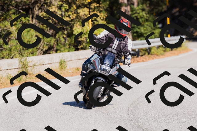 202510111310-_04A2241_c3