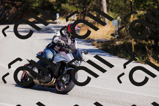 202510111310-_04A2242_c3