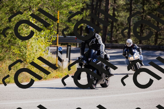 202510111310-_04A2250_c3