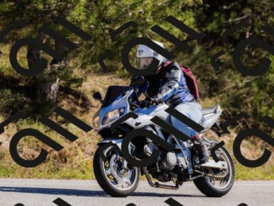 202510111310-_04A2253_c3