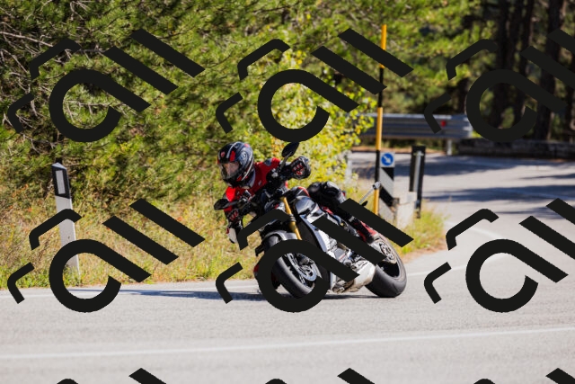 202510111311-_04A2262_c3