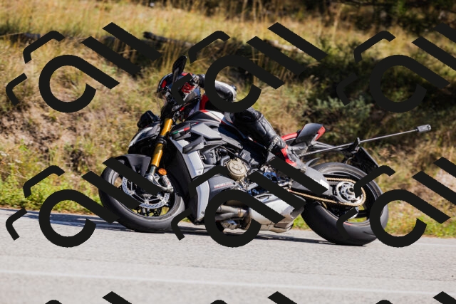 202510111311-_04A2264_c3