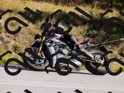 202510111311-_04A2264_c3