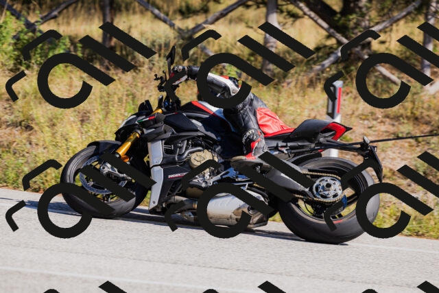 202510111311-_04A2265_c3