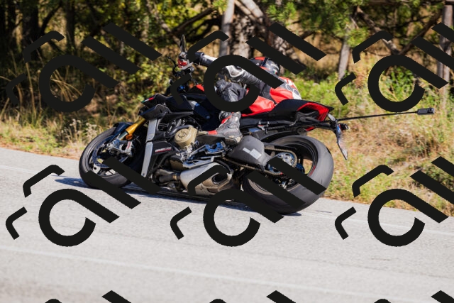 202510111311-_04A2266_c3