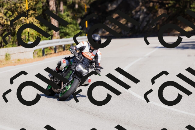 202510111313-_04A2267_c3