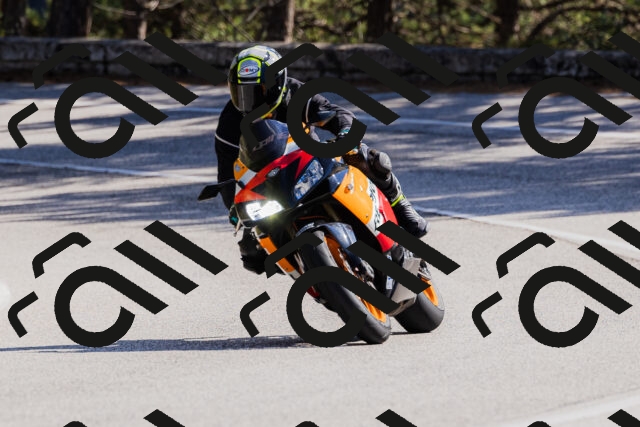 202510111315-_04A2274_c3