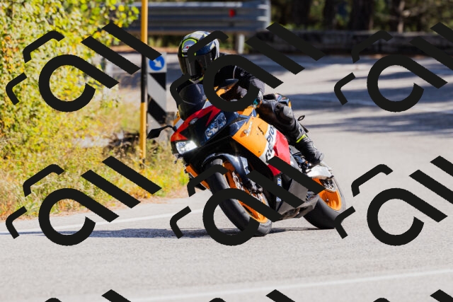 202510111315-_04A2275_c3