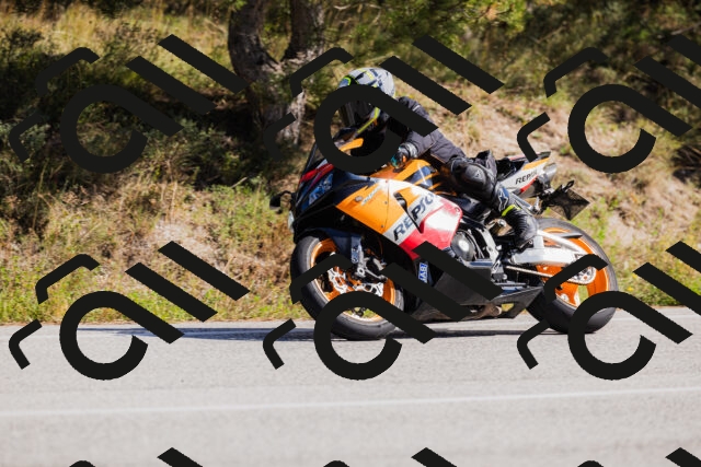 202510111315-_04A2277_c3