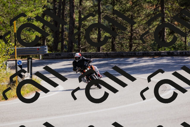 202510111315-_04A2285_c3