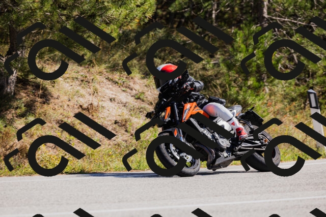 202510111315-_04A2287_c3