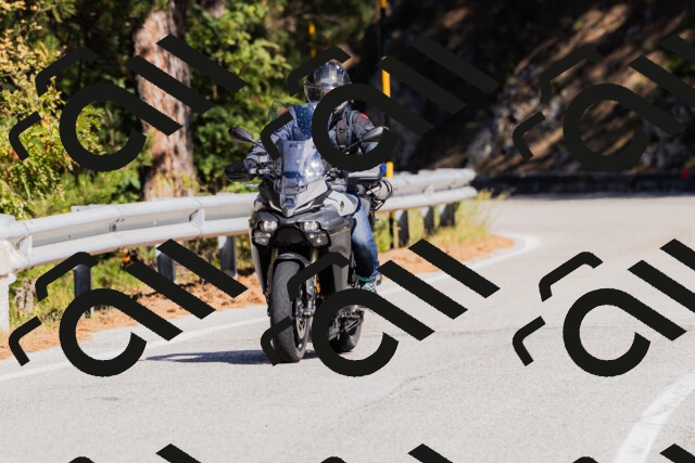 202510111315-_04A2289_c3