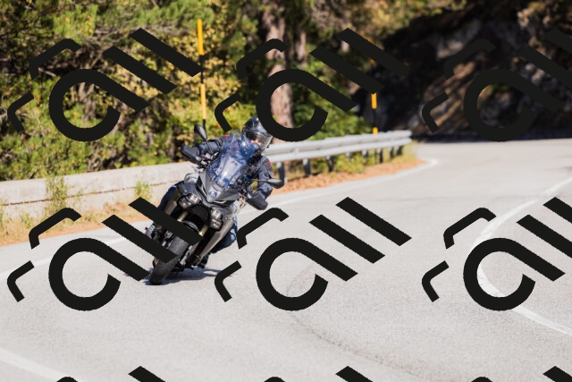 202510111315-_04A2291_c3