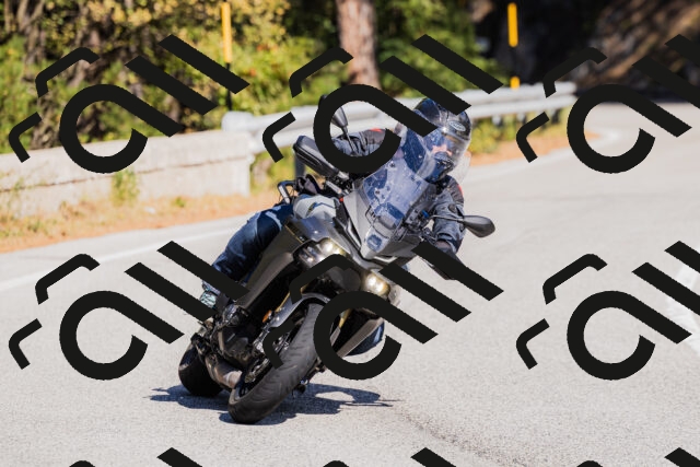 202510111315-_04A2292_c3