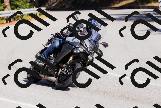 202510111315-_04A2293_c3