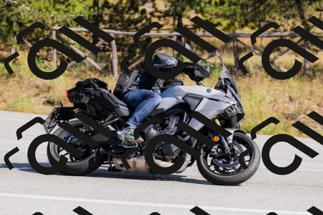 202510111315-_04A2295_c3