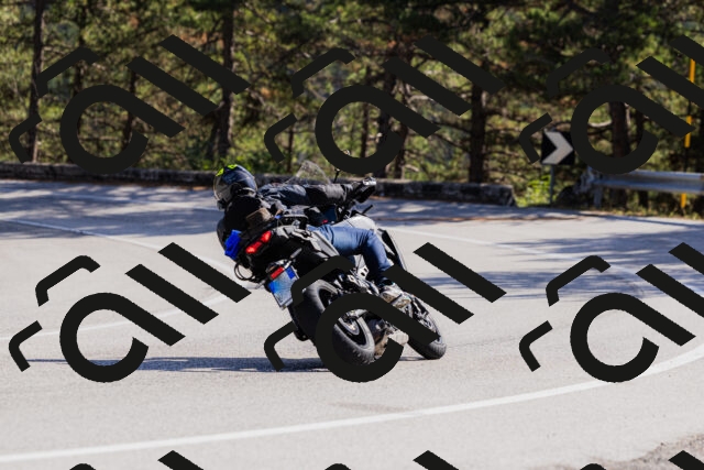 202510111315-_04A2298_c3