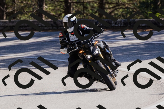 202510111318-_04A2304_c3