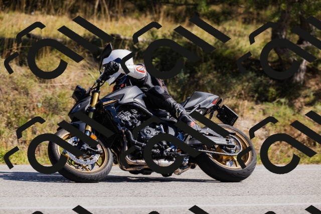 202510111318-_04A2307_c3